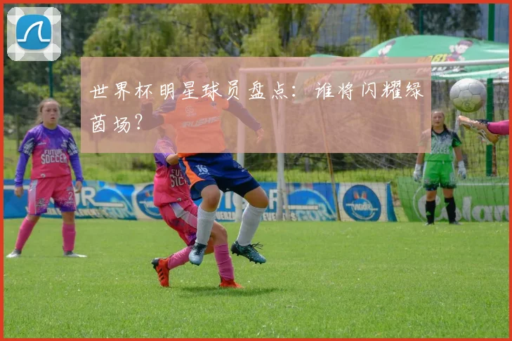 世界杯明星球员盘点：谁将闪耀绿茵场？