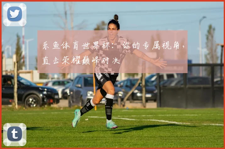 乐鱼体育世界杯：你的专属视角，直击荣耀巅峰对决