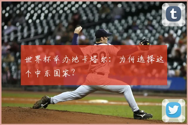 世界杯举办地卡塔尔：为何选择这个中东国家？
