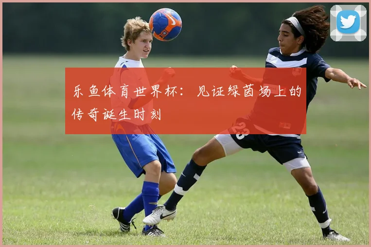 乐鱼体育世界杯：见证绿茵场上的传奇诞生时刻