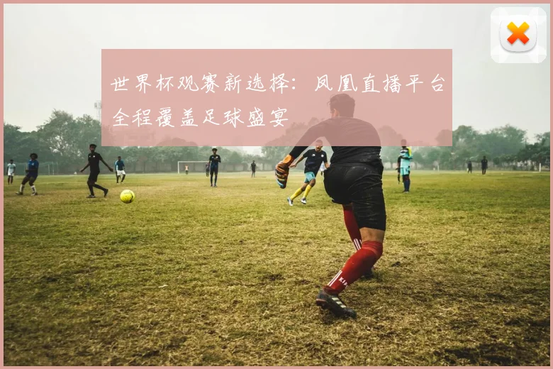 世界杯观赛新选择:凤凰直播平台全程覆盖足球盛宴
